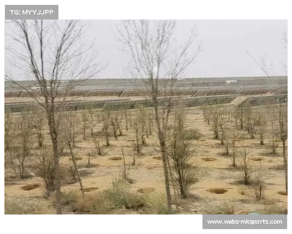 宁夏沙漠棒球场开工建设 全球首个人工固沙运动基地即将亮相